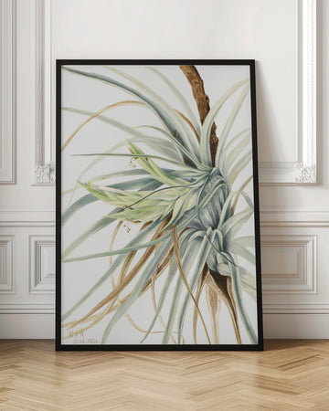 Wild Pineapple (1921) | Poster - Room Interior 1