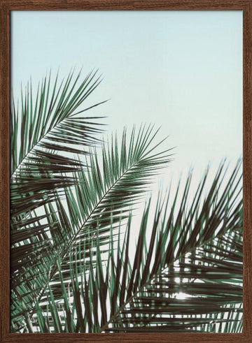 Tropical Palm Fronds | Poster - Walnut Frame Interior