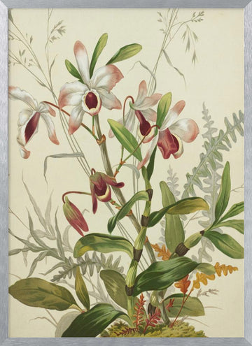 Flowers | Poster - Silver Frame Interior
