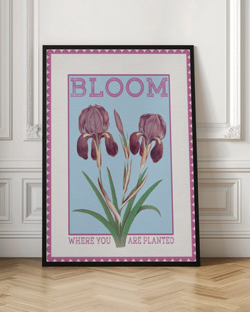 Purple Irises Bloom Quote | Poster - Room Interior 1