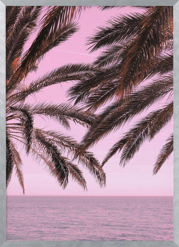 Pink Sky Tropical Palms | Poster - Silver Frame Interior