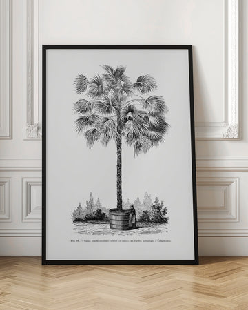 Vintage Palm Tree Drawing X | Poster - Room Interior 1