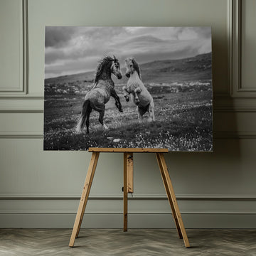 Wild Horses Rearing | Canvas - Room Interior 1