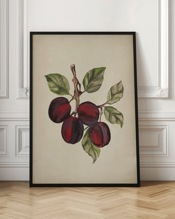 Ripe Plum Branch | Poster - Room Interior 1