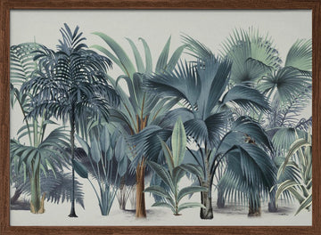 Lush Tropical Palm Jungle | Poster - Walnut Frame Interior