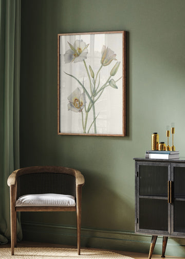 Sego Lily | Poster - Room Interior 2