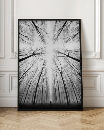 Lone Figure Foggy Forest | Poster - Room Interior 1