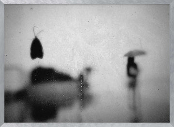 Moth and Umbrella Silhouette | Poster - Silver Frame Interior