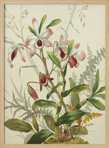Flowers | Poster - Wood Frame Interior