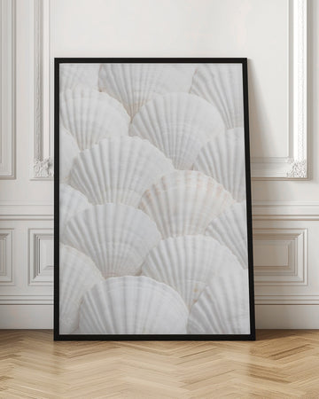 Pristine White Scallops | Poster - Room Interior 1