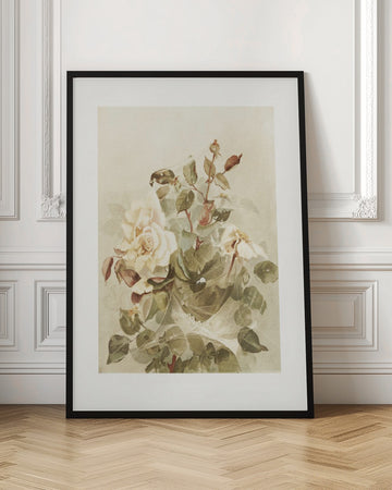 Pink Roses Seen Through Early Morning Dew | Poster - Room Interior 1