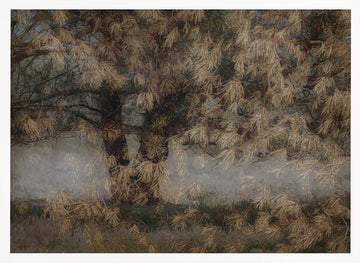 Pine tree | Poster - White Frame Interior