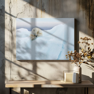 Sleeping Polar Bear Cub | Canvas - Room Interior 2