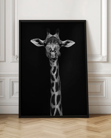 Elegant Giraffe Portrait | Poster - Room Interior 1