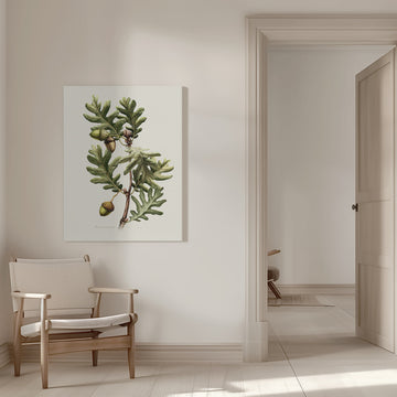 Pyrenean Oak Botanical Art | Canvas - Room Interior 1