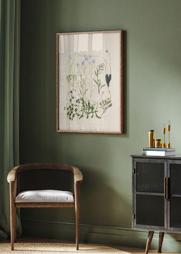 Wahlenbergias Drawn | Poster - Room Interior 2