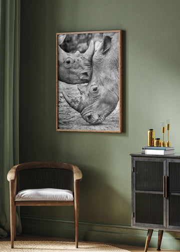 Rhino Tenderness | Poster - Room Interior 2