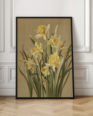 Daffodils | Poster - Room Interior 1