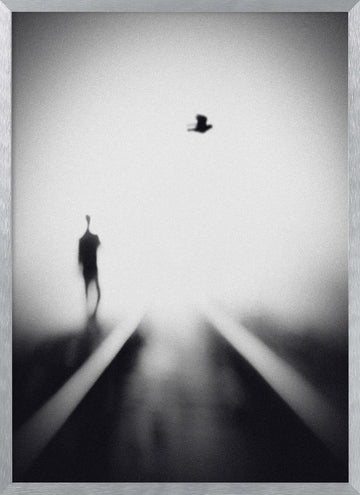 Solitary Man Flying Bird | Poster - Silver Frame Interior