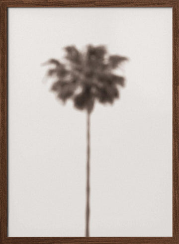 Blurred Palm Tree | Poster - Walnut Frame Interior