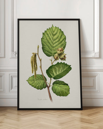 Hazelnut Branch Botanical | Poster - Room Interior 1