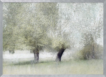 Young green | Poster - Silver Frame Interior