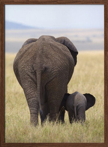 Elephant Mother and Calf | Poster - Walnut Frame Interior