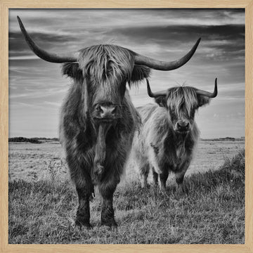 Highlands | Poster - Wood Frame Interior