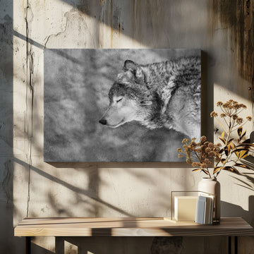 Let it snow | Canvas - Room Interior 2