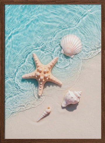 Starfish Seashells Shoreline | Poster - Walnut Frame Interior