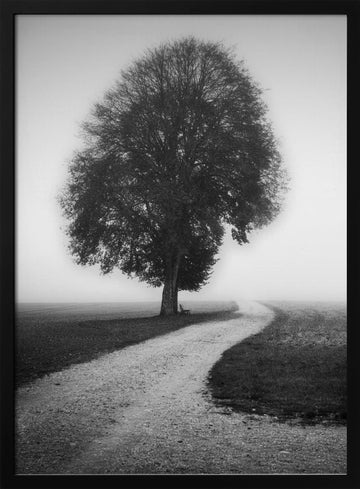 Foggy Path Lone Tree | Poster - Black Metal Frame Interior