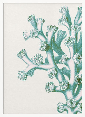 Serene Teal Coral | Poster - White Frame Interior