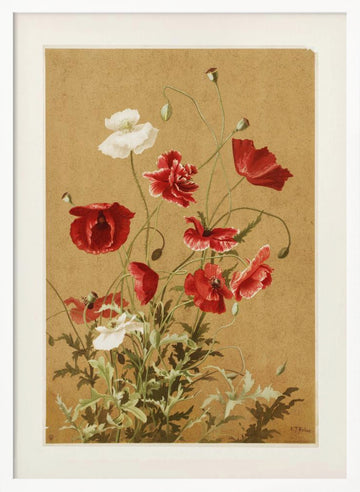 Poppies No. 3 By Ellen Thayer Fisher | Poster - White Frame Interior