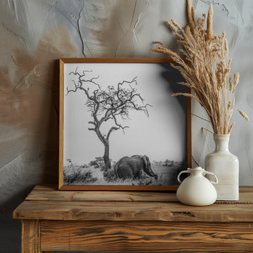 African Elephant Lone Tree | Poster - Room Interior 1