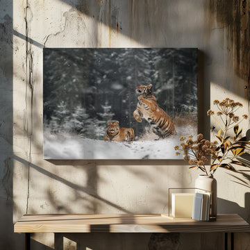 Siberian Winter Tigers | Canvas - Room Interior 2