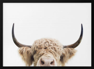 Peeking Cow | Poster - Black Metal Frame Interior