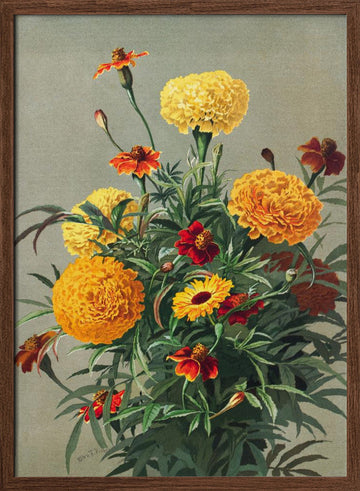Marigolds | Poster - Walnut Frame Interior