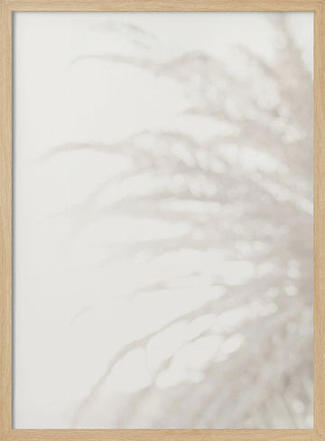 Soft Pampas Light | Poster - Wood Frame Interior