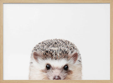 Peeking Hedgehog | Poster - Wood Frame Interior