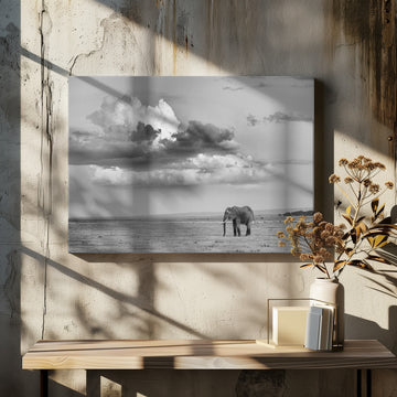 Lone Elephant Under Dramatic Sky | Canvas - Room Interior 2