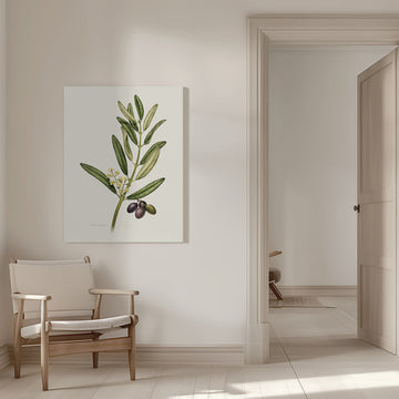 Olive Branch With Fruit | Canvas - Room Interior 1