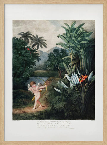 Cupid Inspiring Plants with Love from The Temple of Flora (1807) | Poster - Wood Frame Interior