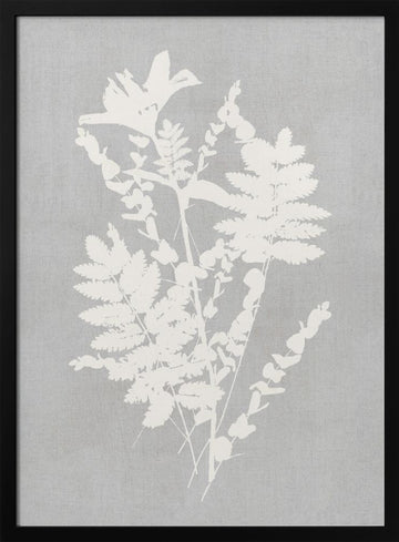 Botanical Silhouette Study | Poster - Black Metal Frame Interior