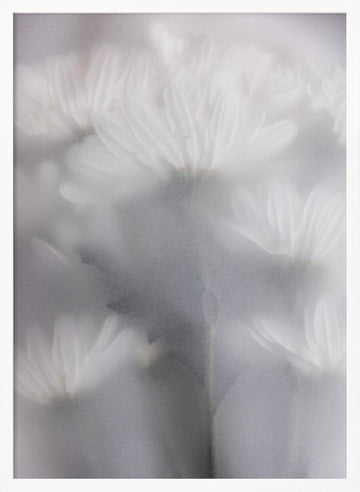 Blurred Flowers 6 | Poster - White Frame Interior