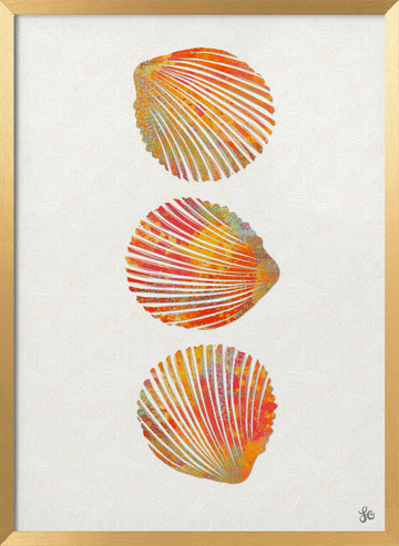Vibrant Seashells | Poster - Gold Frame Interior