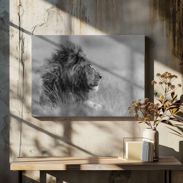 Majestic Lion Profile | Canvas - Room Interior 2