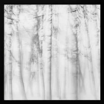 Ethereal Tree Lines | Poster - Black Metal Frame Interior