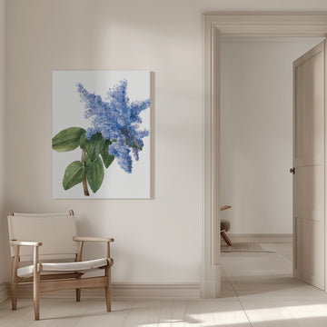 California Lilac (1935) | Canvas - Room Interior 1