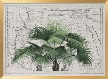 Vintage Palm on Africa Map | Poster - Gold Frame Interior