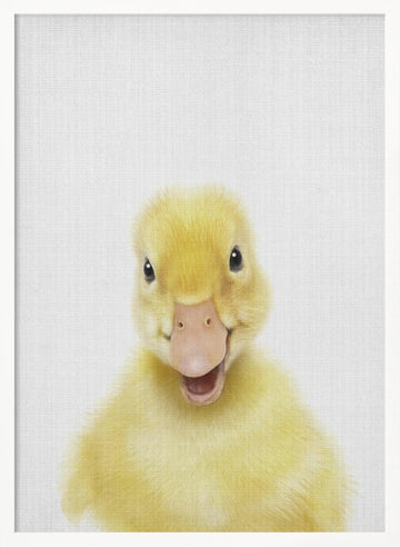 Smiling Baby Duck | Poster - White Frame Interior